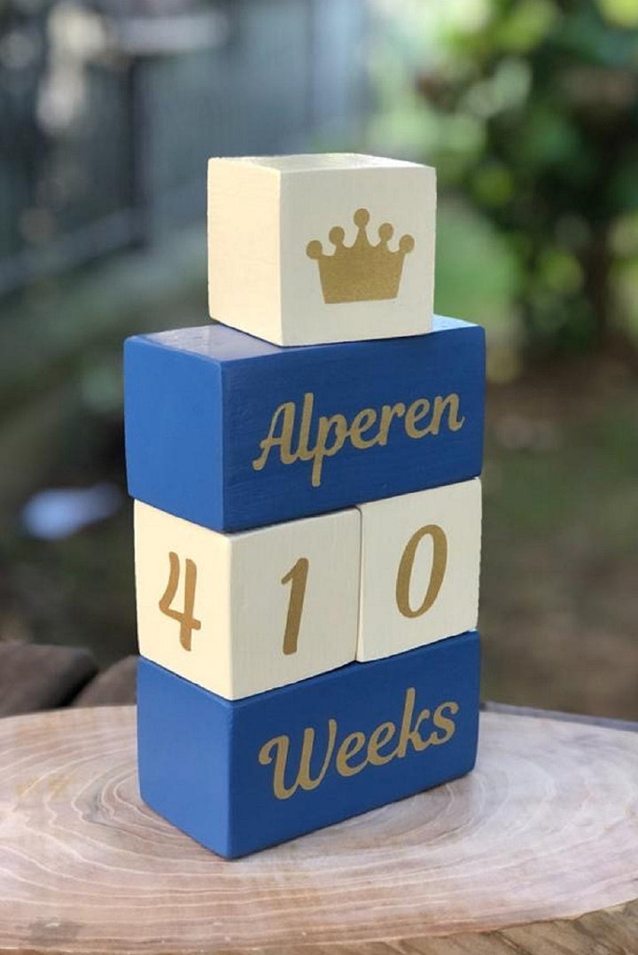 Set of 5 Custom Wooden Cube|Personalized Baby Cube|Wooden Letter Name Block|Wooden Nursery Kid Name Sign|Wood Baby Shower Gift|New Mom Gift