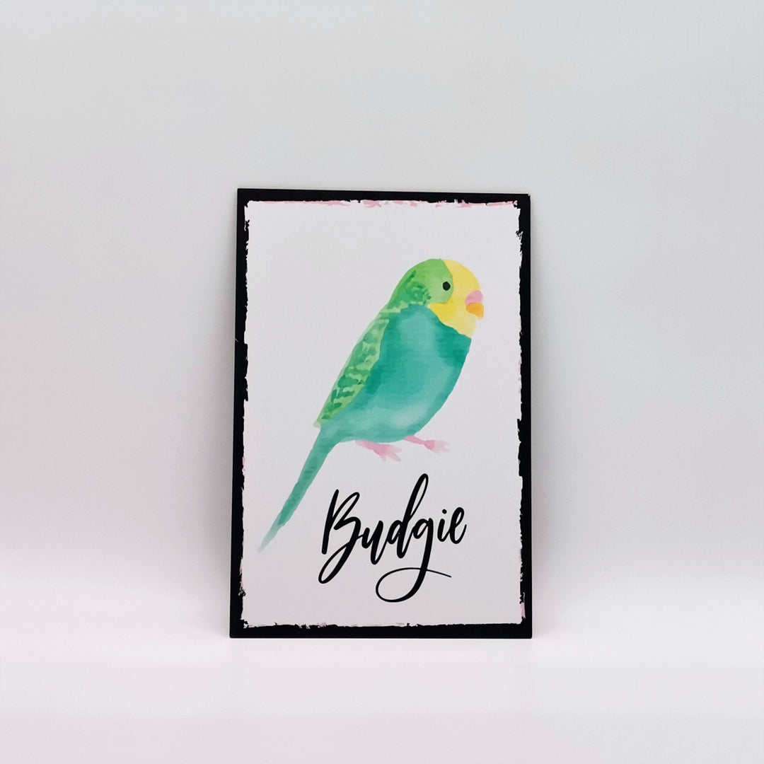 Bird Retro Poster|Bird Wall Art|Budgie, Canary Vintage Poster|Parrot, Hummingbird Decor|Bird Lover Gift|Nursery Wall Decor|Kid Room Decor