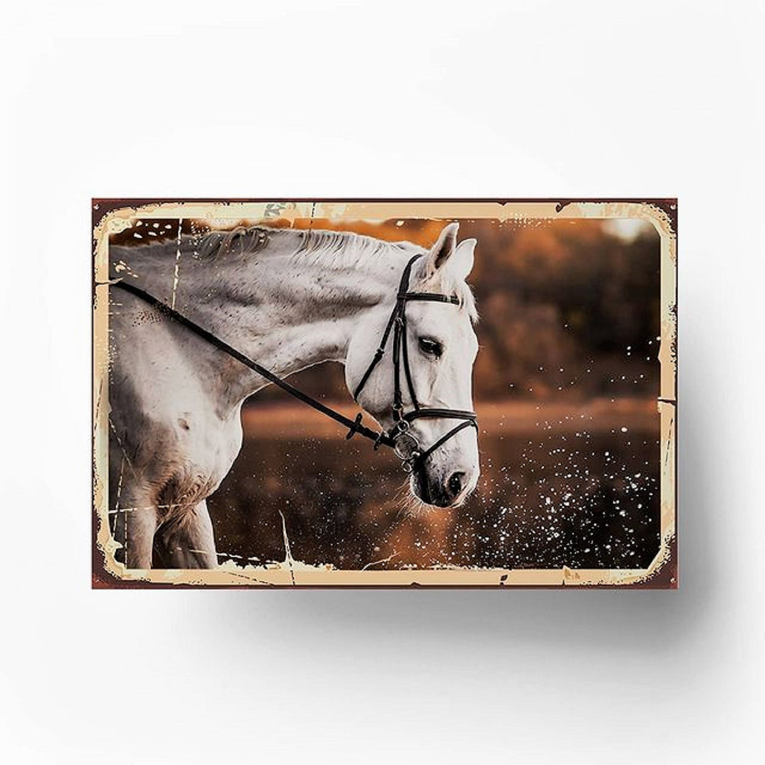 Animal Wall Decor|Dog, Horse, Tiger Wall Decor|Mindset Wall Art|Aesthetic Room Decor|Funny Dog Retro Poster|Gift For Cat Lover|Kids Wall Art