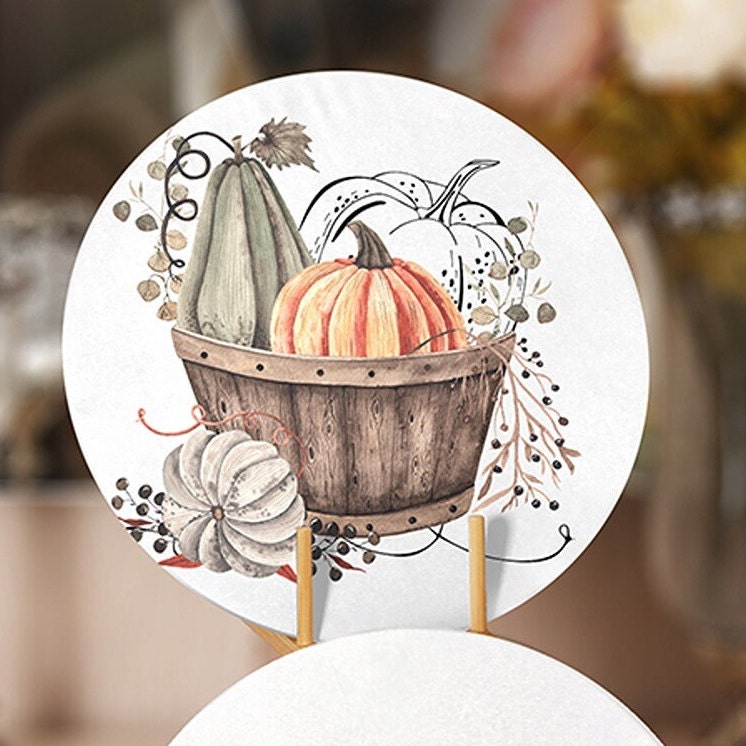 Fall Trend Placemat|Set of 4 Autumn Supla Table Mat|Farmhouse Orange Gray Pumpkin Round Dining Underplate|Housewarming Pumpkin Coaster Set